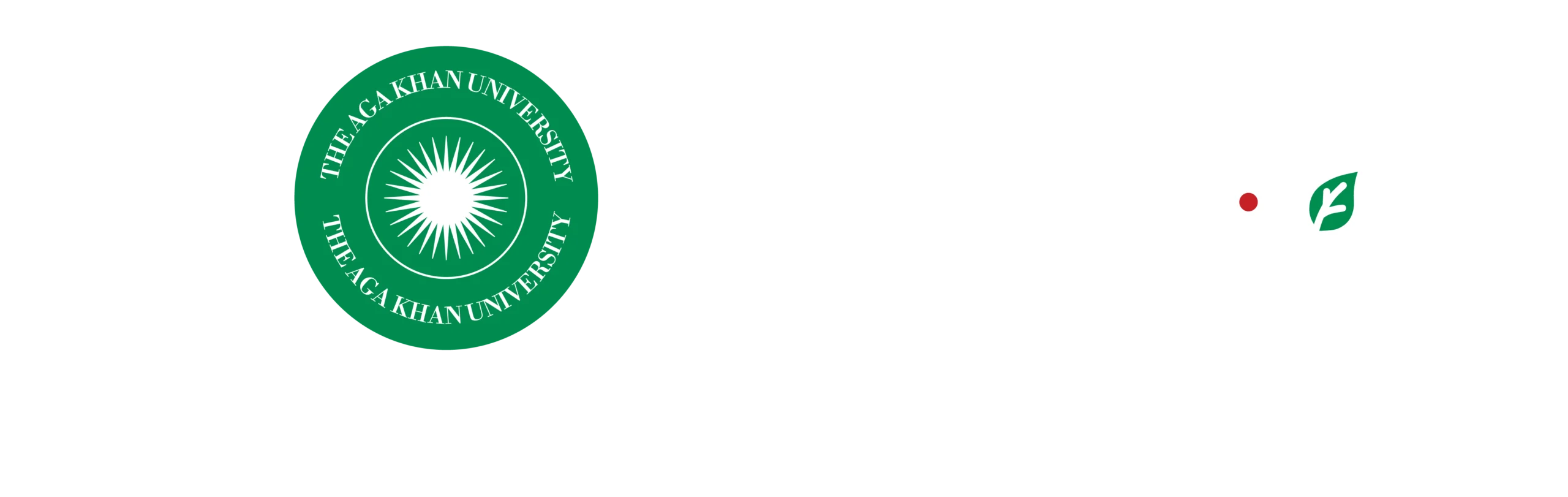 BMI_logo_aku-bmi_Simplified_white